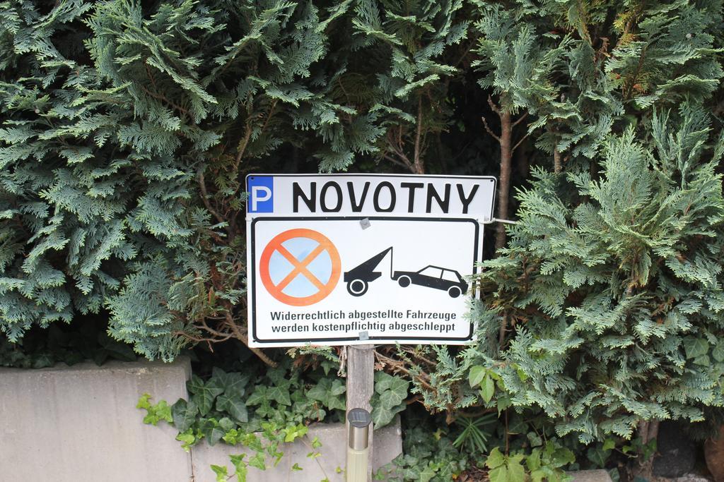 Novotny *